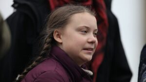 Historiker Aly kritisiert Thunberg