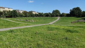 Berlin: Bezirksbürgermeisterin gegen Umzäunung des Görlitzer Parks