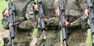 Linke kritisiert Überlegungen für Pflichtdienst