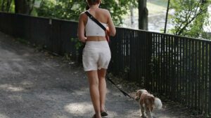 2023 wird in Deutschland heißestes Jahr seit Messbeginn