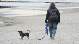 Jeder Fünfte lebt allein