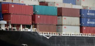 Grüne kritisieren Untätigkeit gegen russische Schattenflotte