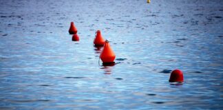 Monopolkommission warnt vor Abhängigkeit bei Unterseekabeln