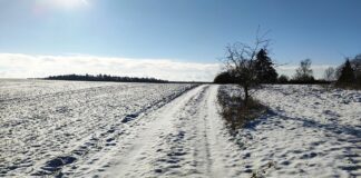 Kälteeinbruch: Verbände erwarten positive Folgen für Landwirtschaft