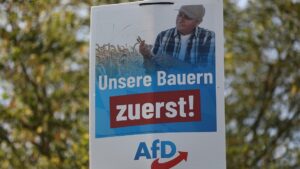 DIW wirft AfD "Verlogenheit" in Debatte um Agrardiesel vor