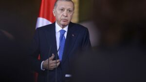 Beck kritisiert Erdogan wegen DAVA-Partei