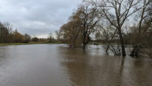 Naturkatastrophenschäden auch 2025 trotz Rückgang sehr hoch