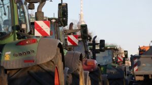 Backhaus kritisiert "Bruchlandung" der Grünen in Agrarpolitik