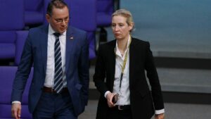 Forsa: AfD verliert – SPD legt zu