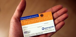Organspendezahlen steigen auf höchsten Stand seit 2012