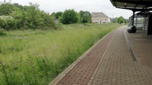 Studie: Hohe Hürden für Reaktivierung von Bahnstrecken