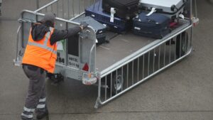 EuGH: Haustiere gelten als "Reisegepäck" im Luftverkehr