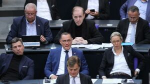 FDP verteidigt Umgang mit AfD in Bundestags-Ausschüssen
