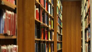 Zahl der Habilitationen gestiegen – Frauenanteil bleibt fast gleich