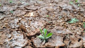 UNHCR: Klimawandel treibt Millionen Menschen zur Flucht