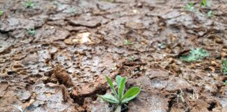 UNHCR: Klimawandel treibt Millionen Menschen zur Flucht