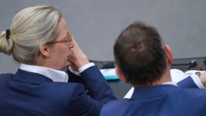 AfD-Politiker Fest wirft Parteivorsitzenden "schweres Versagen" vor