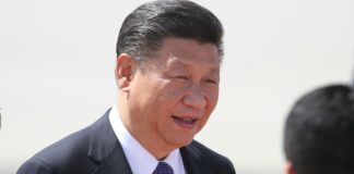 Ökonom: Merz muss bei Xi unfaire Handelspraktiken adressieren