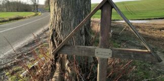 Mehr Tote und Verletzte bei Straßenverkehrsunfällen im November