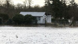 Versicherungsbranche warnt vor steigenden Kosten durch Klimawandel