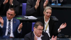 Insa: AfD fällt in Wählergunst auf Jahrestief