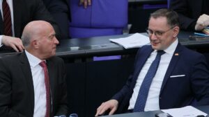 AfD-Abgeordneter Lucassen kritisiert eigene Parteiführung