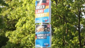 Werbung für AfD und Russland vor EU-Wahl durch "Trollarmee"