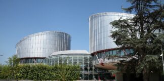 Hubig warnt vor "politischer Einflussnahme" auf EGMR