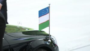Grüne haben Bedenken gegen Abschiebe-Deal mit Usbekistan