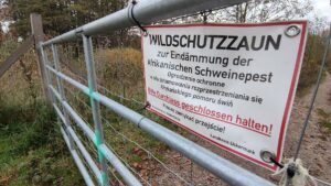 Özdemir will Drohnen zur Bekämpfung der Schweinepest nutzen