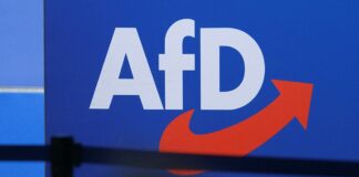 Bundesregierung sieht bei neuer AfD-Jugend keine Mäßigung