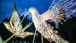 Winterreise durchs Lichterwunderland