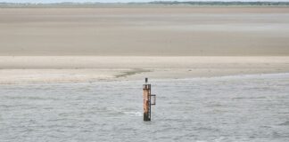 Gasförderung: Grüne wollen Borkum-Abkommen verhindern