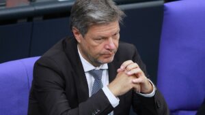 Habeck will schärfere Regeln für chinesische Online-Plattformen