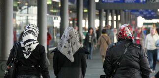 Rund 8.000 Ausländer 2025 von Ausweisungen betroffen