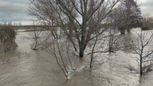 Ifo-Institut verlangt Strategie für Anpassung an Klimawandel