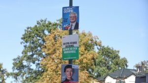 Linke Schwerdtner: BSW, AfD und CDU wollen Menschen "verdummen"
