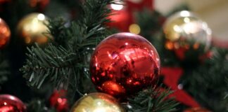 Soziologin rät von gemeinsamer Bescherung in Patchworkfamilien ab