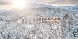 My Arbor: Kraft der Natur und festliche Stimmung in Südtirol