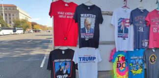 In Berlin wächst die Sorge über AfD-Kontakte zu Trumps Umfeld