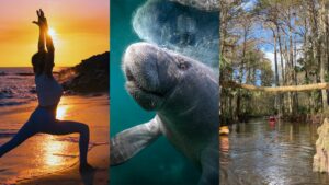 Winterzauber in Floridas Sunshine State