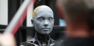 Forscher warnen vor "KI-Schwärmen"