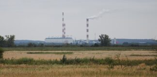 Sachsens Ministerpräsident fordert stärkere Braunkohleverstromung