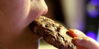 Ritter Sport beklagt "Schokoladenkrise"