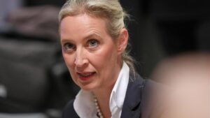 Weidel stellt Musk AfD als "libertäre konservative Partei" vor