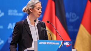Ökonomen kritisieren AfD-Pläne zu Europa und Windkraft scharf