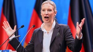 Weidel will Migrationsvorhaben der Union zustimmen