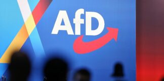 Meinungsforscher: Zu große Putin-Nähe schadet AfD