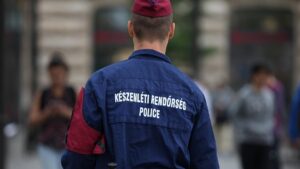 Verfassungsbeschwerde gegen Auslieferung nach Ungarn erfolgreich