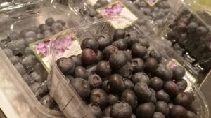 Strauchbeerenernte 2025 um gut 23 Prozent gestiegen